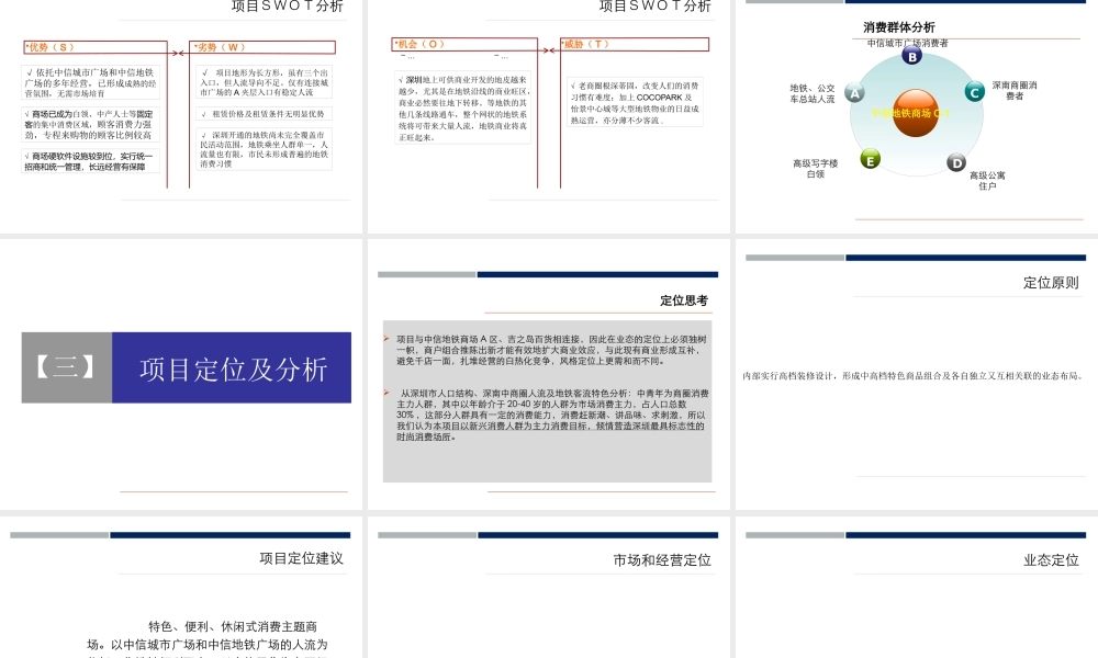 世联_深圳中信地铁商场C-1区招商策划报告_50PPT