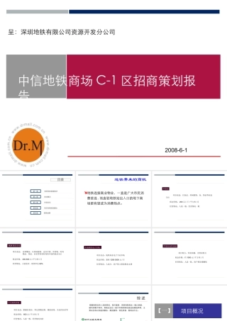 世联_深圳中信地铁商场C-1区招商策划报告_50PPT