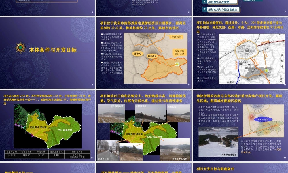 世联_沈阳青建明清册旅居区项目整体定位与发展战略报告_384PPT