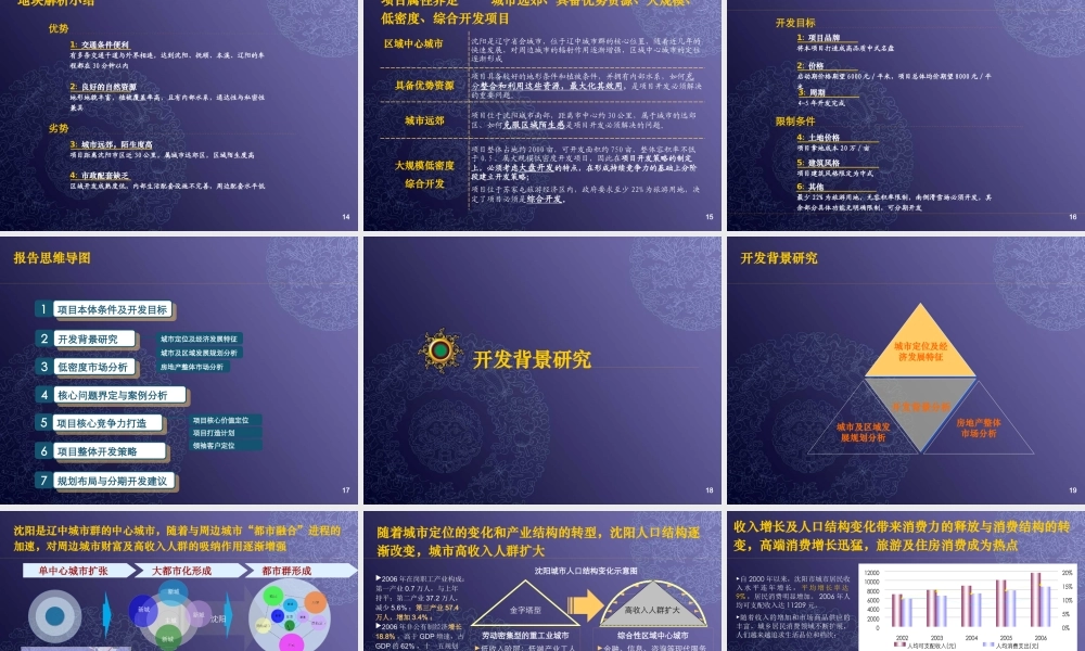 世联_沈阳青建明清册旅居区项目整体定位与发展战略报告_384PPT