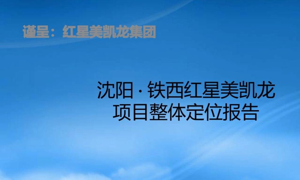 世联_沈阳铁西红星美凯龙商业项目整体定位报告_151PPT_XXXX年