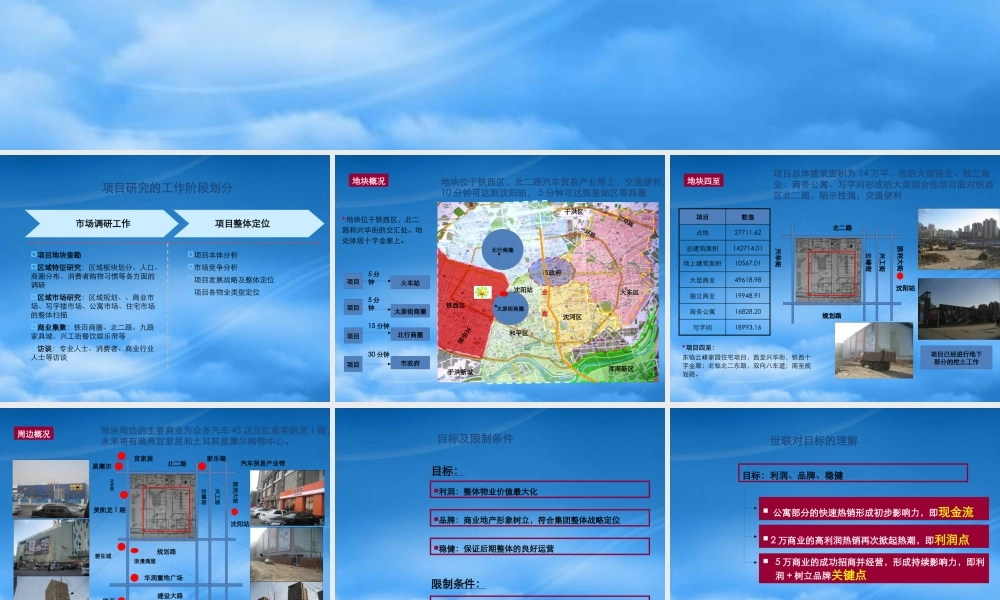 世联_沈阳铁西红星美凯龙商业项目整体定位报告_151PPT_XXXX年