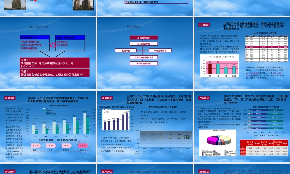 世联_沈阳铁西红星美凯龙商业项目整体定位报告_151PPT_XXXX年