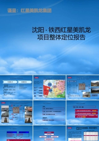 世联_沈阳铁西红星美凯龙商业项目整体定位报告_151PPT_XXXX年