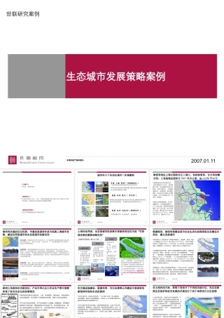 世联_生态城市发展策略案例_41PPT
