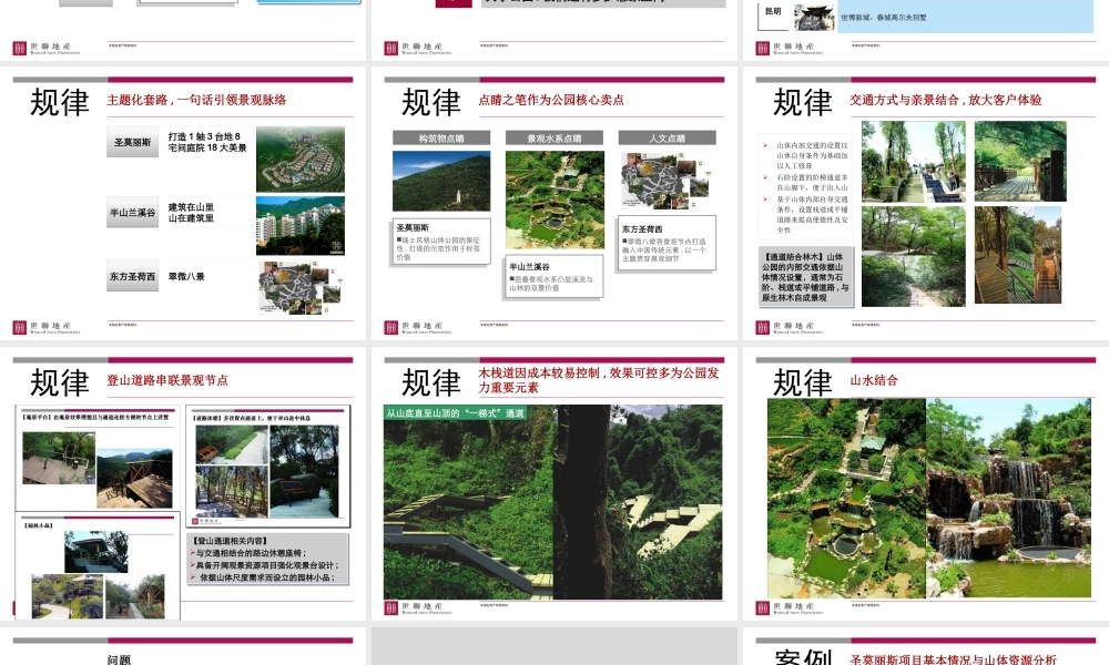 世联_私家山体公园产品专题研究_54PPT