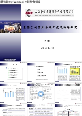 ××公司商业房地产发展战略研究(2)