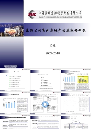 ××公司商业房地产发展战略研究