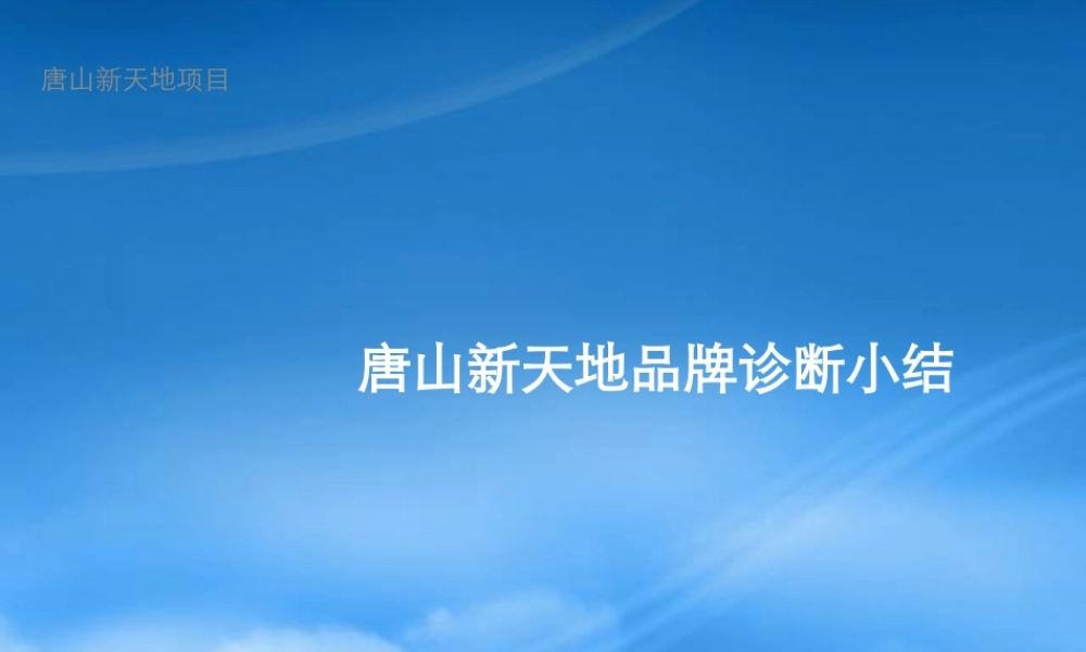 世联_唐山新天地项目品牌诊断报告_80页_XXXX年