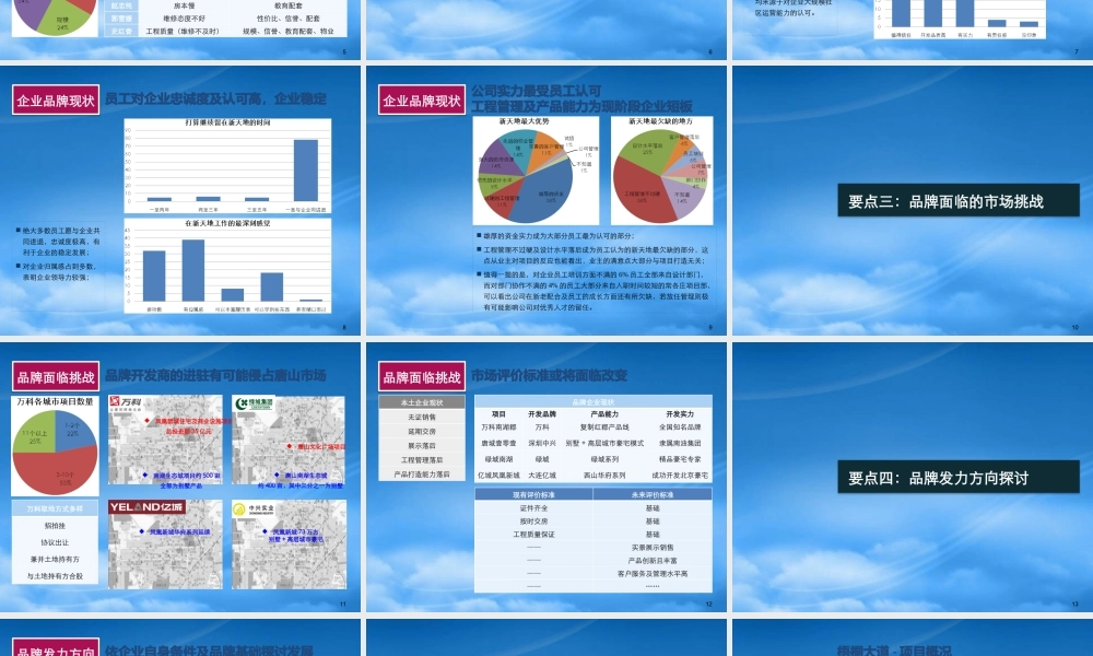 世联_唐山新天地项目品牌诊断报告_80页_XXXX年
