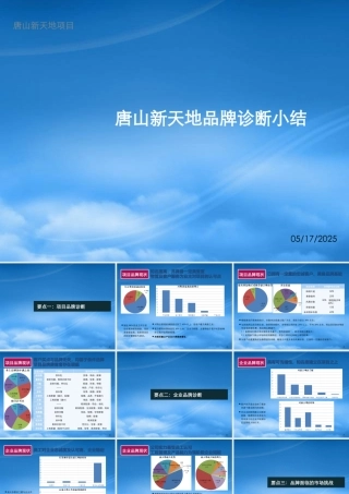 世联_唐山新天地项目品牌诊断报告_80页_XXXX年