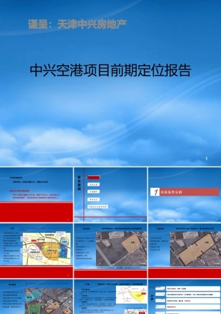 世联_天津中兴空港项目前期定位报告_85PPT