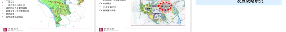 世联_拓盘_房地产区域开发顾问流程