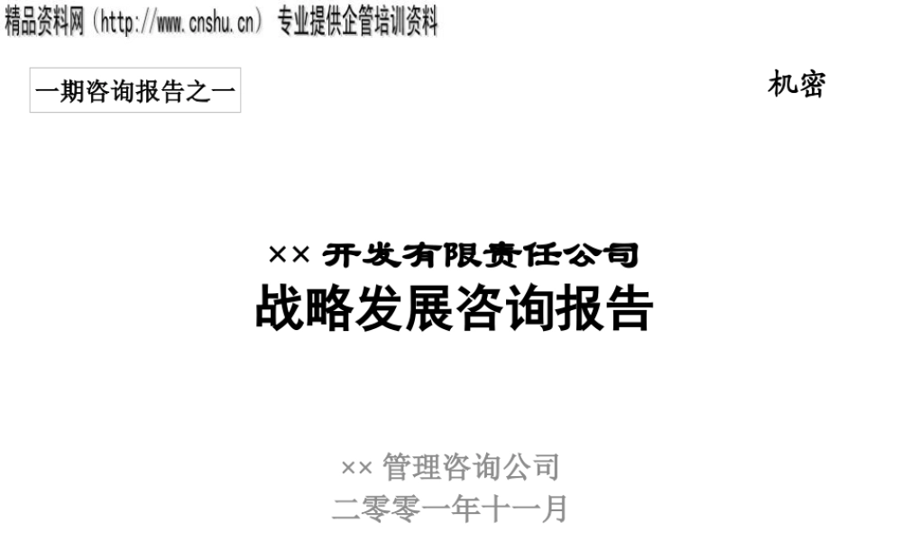 ××公司战略发展咨询报告(1)