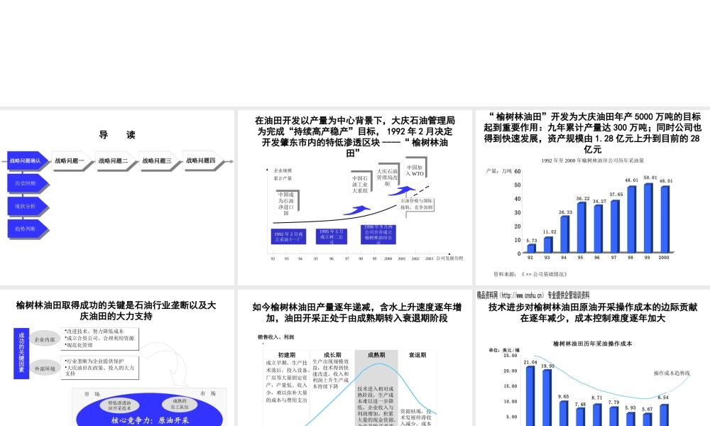 ××公司战略发展咨询报告(1)