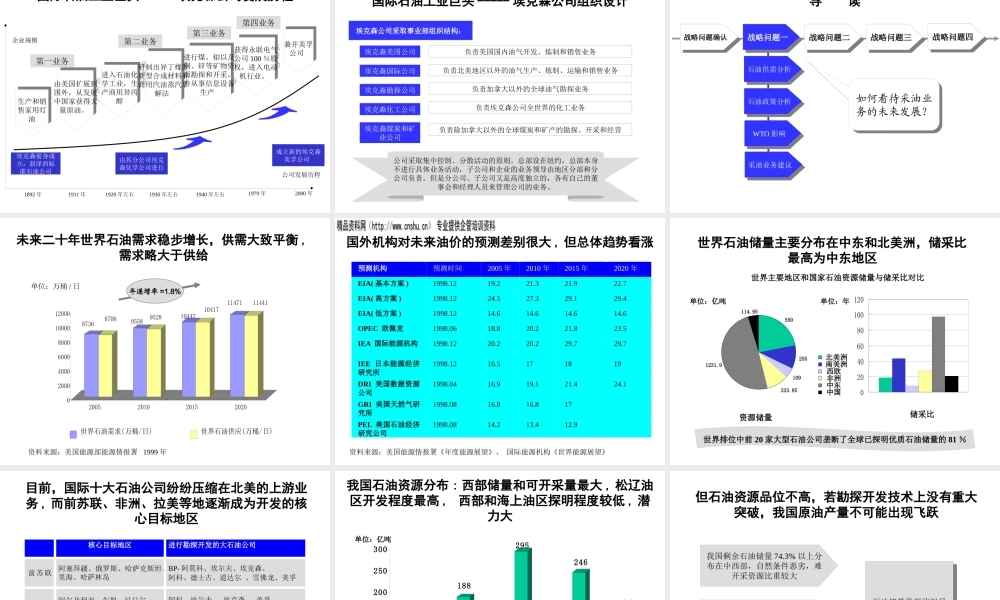 ××公司战略发展咨询报告(1)