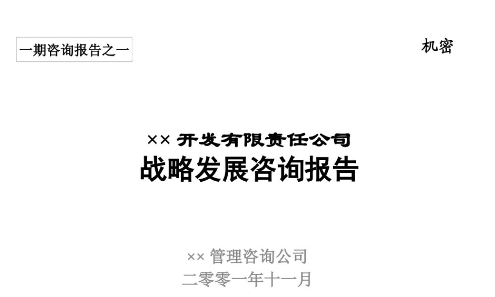 ××公司战略发展咨询报告