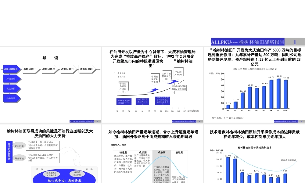 ××公司战略发展咨询报告