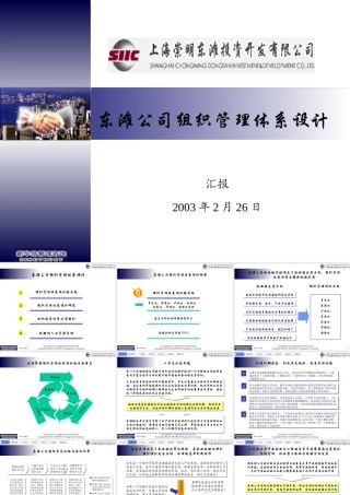 ××公司组织管理体系设计方案(1)