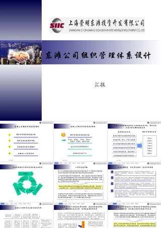 ××公司组织管理体系设计方案（PPT 228页）