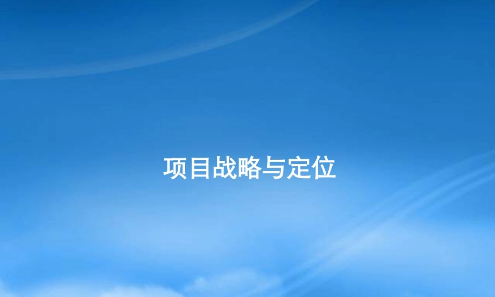 世联_项目前期定位报告模板