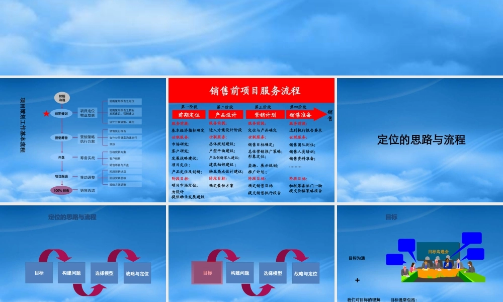 世联_项目前期定位报告模板