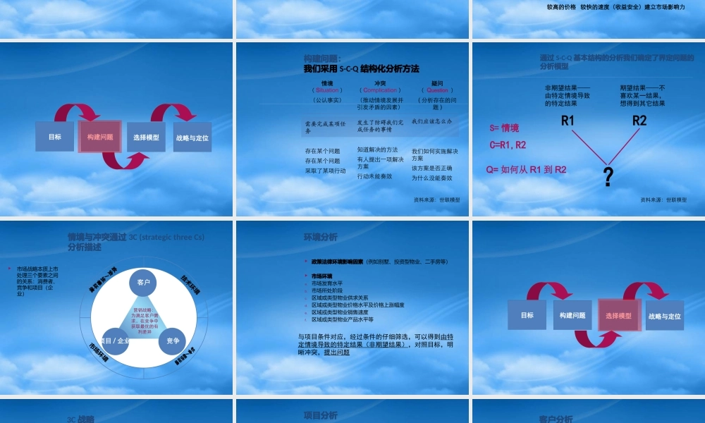 世联_项目前期定位报告模板