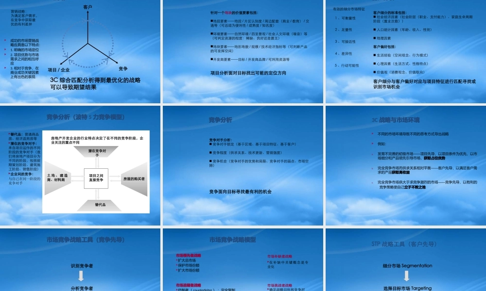 世联_项目前期定位报告模板