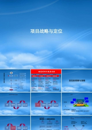 世联_项目前期定位报告模板