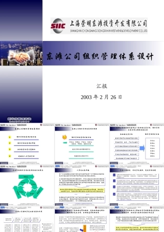××公司组织管理体系设计方案