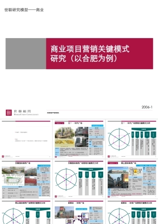 世联_研究模型_商业项目营销关键模式研究（以合肥为例）16PPT
