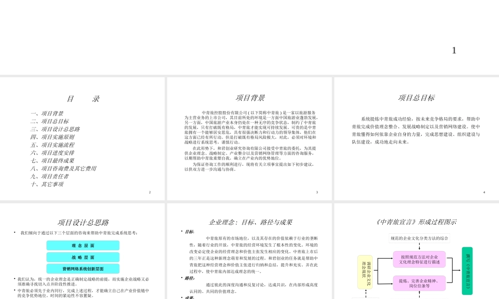 ××股份有限公司管理咨询项目建议书(1)