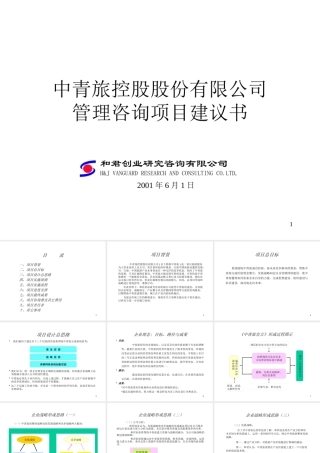 ××股份有限公司管理咨询项目建议书(1)