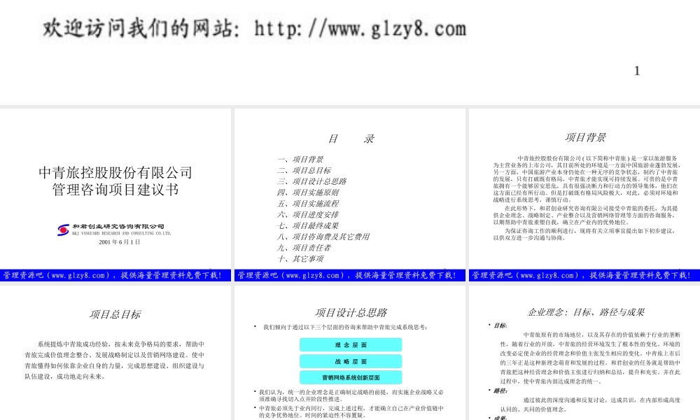 ××股份有限公司管理咨询项目建议书