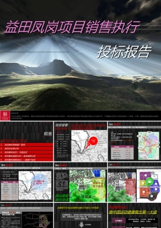 世联_益田大运城邦_项目销售执行投标报告_143PPT