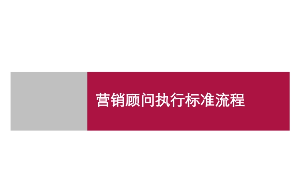 世联_营销顾问执行标准流程_16PPT