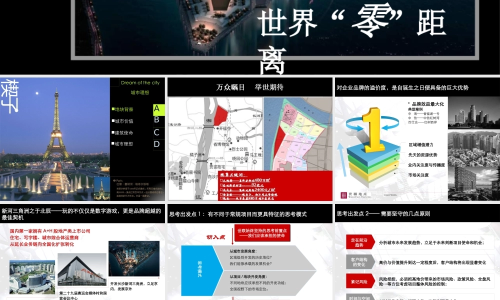 世联_长沙北辰新河三角洲D1地块营销策划投标汇报版_116PPT