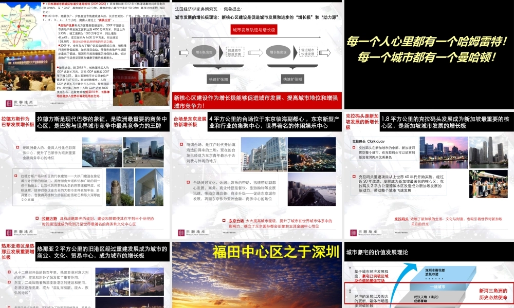 世联_长沙北辰新河三角洲D1地块营销策划投标汇报版_116PPT
