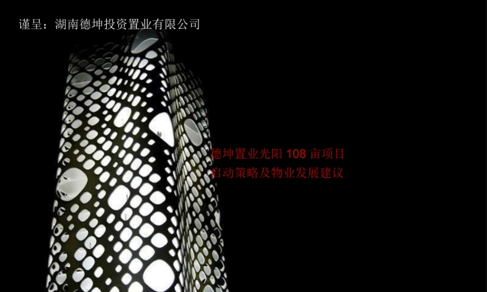 世联_长沙德坤光阳108亩项目启动策略及物业发展建议_141P_XXXX年