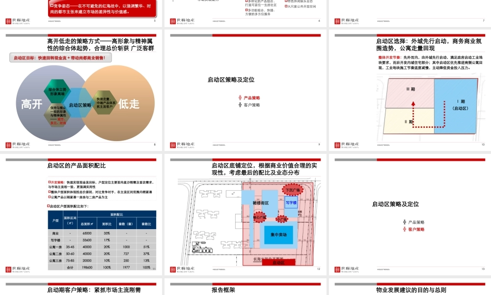 世联_长沙德坤光阳108亩项目启动策略及物业发展建议_141P_XXXX年