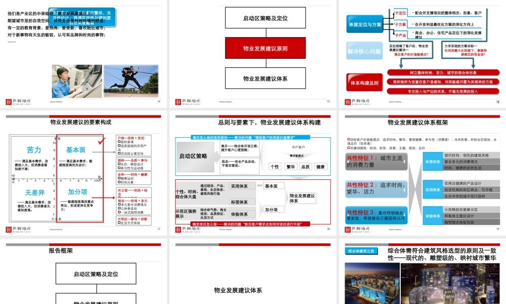 世联_长沙德坤光阳108亩项目启动策略及物业发展建议_141P_XXXX年