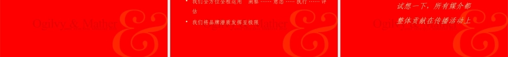 ××国际360度品牌管理(推荐ppt305)