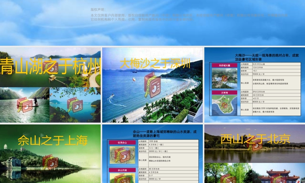 世联_浙江中基置业青山湖项目整体定位及发展报告_228PPT