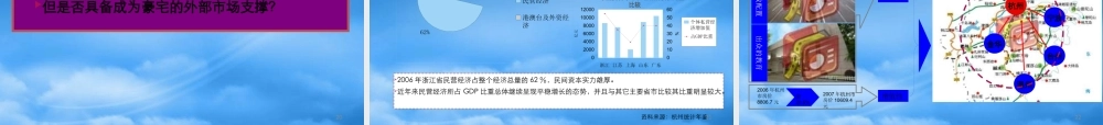 世联_浙江中基置业青山湖项目整体定位及发展报告_228PPT
