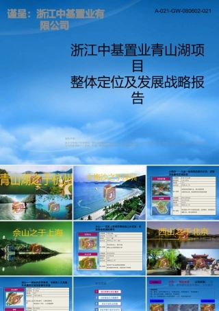 世联_浙江中基置业青山湖项目整体定位及发展报告_228PPT