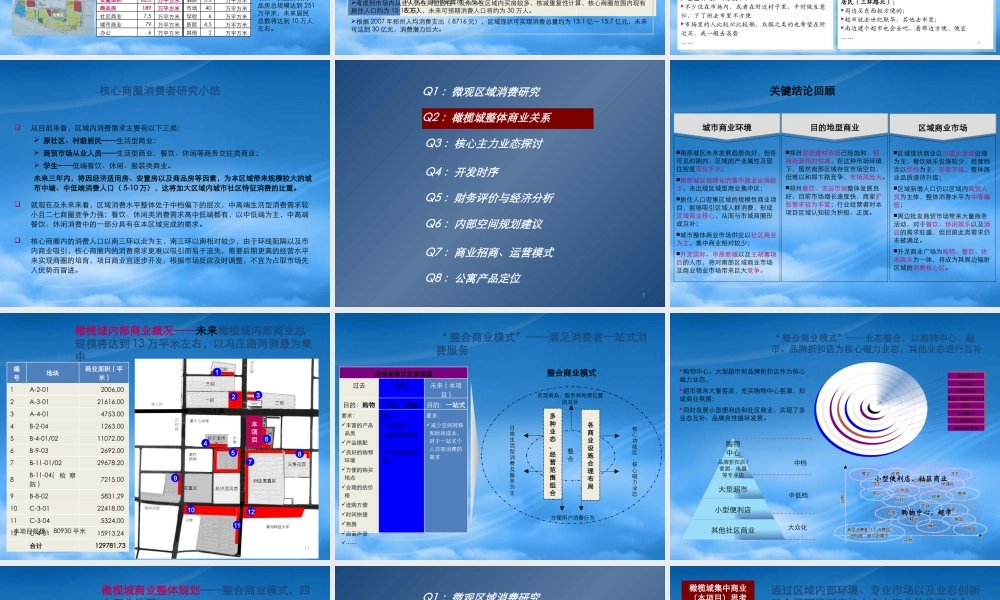 世联_郑州橄榄城集中商业项目终稿汇报稿_99PPT