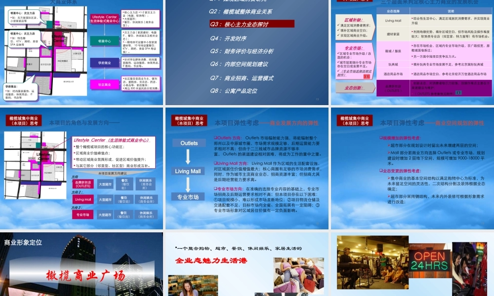 世联_郑州橄榄城集中商业项目终稿汇报稿_99PPT