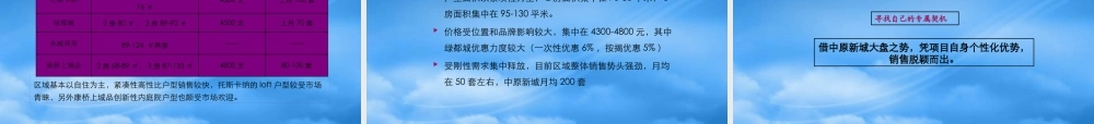 世联_郑州亿晨_中原名邸项目全程营销思路提案