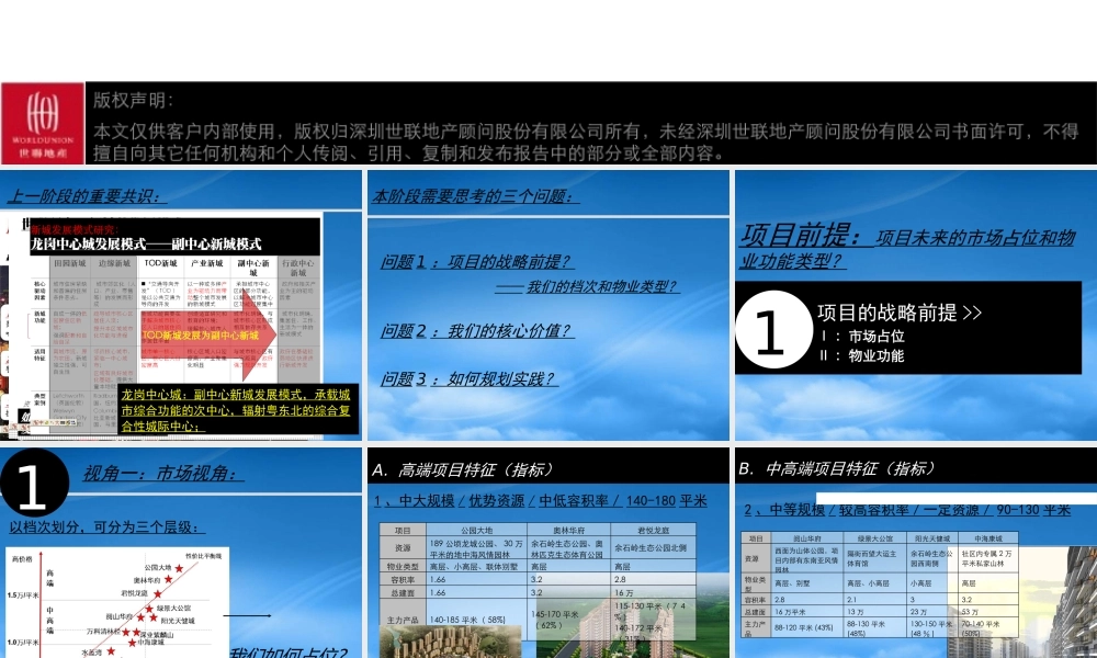 世联_中信_深圳龙岗旧改复合性城际中心项目第二阶段报
