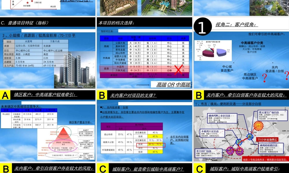 世联_中信_深圳龙岗旧改复合性城际中心项目第二阶段报